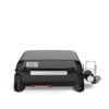 Weber Slate GP 43