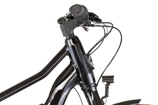 Ortler E-Speeder 400 City E-Bike schwarz/silber/petrol – Bild 15
