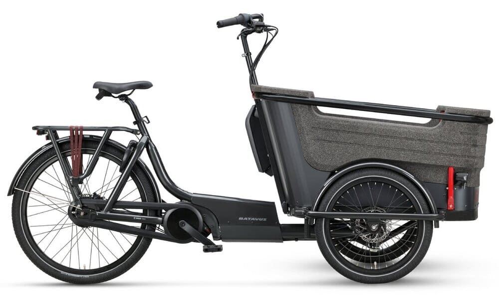 Batavus Fier-3 Env 500 Wh 20 Zoll Dreirad