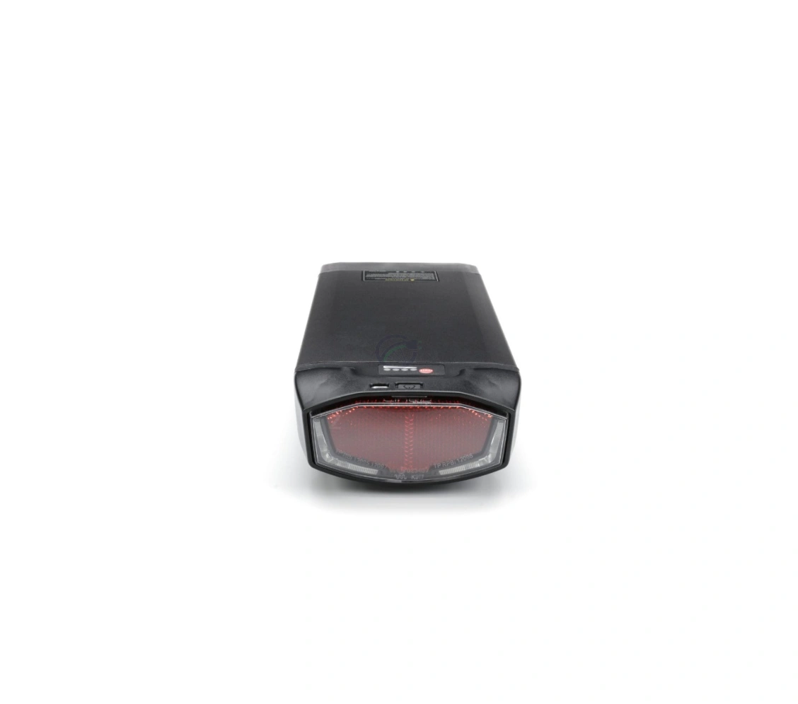 Brinckers Rear Carrier Akku 36V 13Ah Ersatz – Bild 3