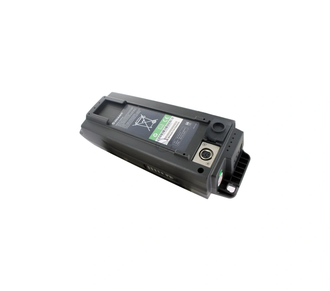 Giant EnergyPak 300 Akku – Bild 5