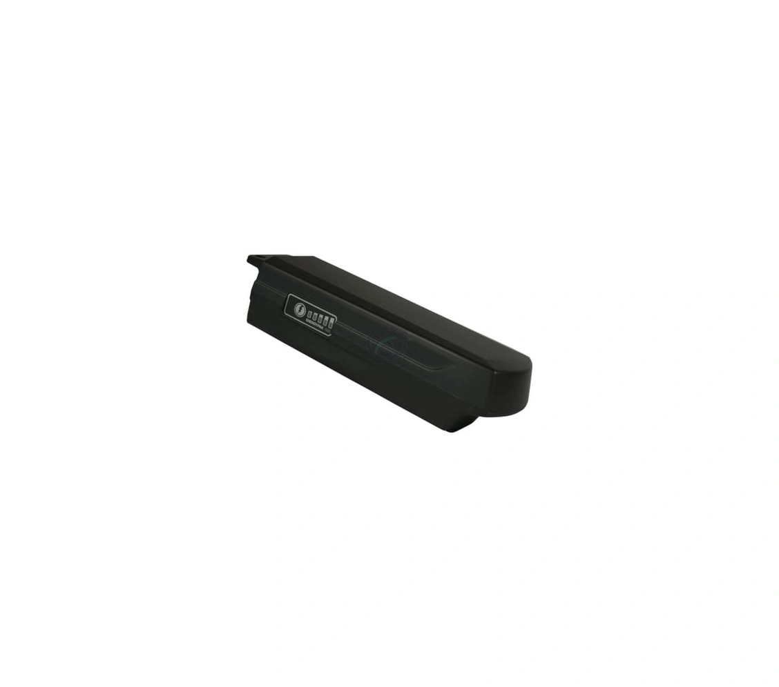 Giant EnergyPak 300 Akku – Bild 3