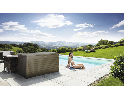 Biohort 160 FreizeitBox Auflagenbox 830 l inkl. Gasdruckfedern 160 x 79 x 83 cm bronze-metallic – Bild 4